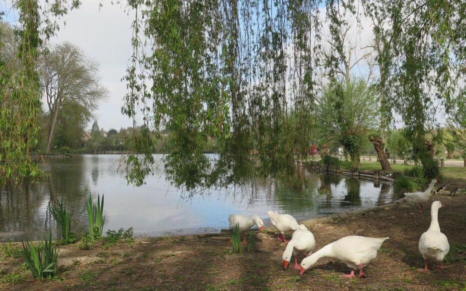 Le Clos Des Marais De Fontenay Exteriör bild